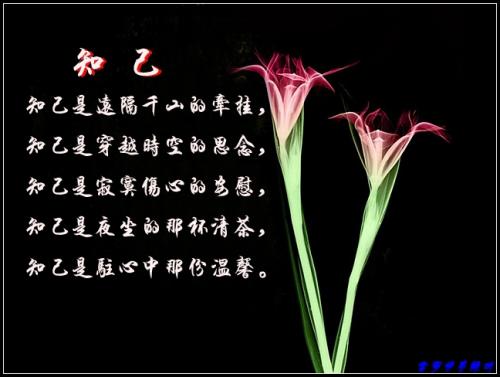 我怎么看做知己