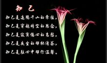 我以什么为知己