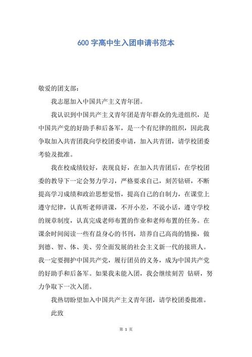 14名高中生申请表600字