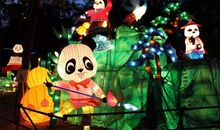 捡拾起记忆中的珍珠