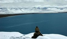 寻找冬天的颜色