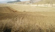 一次不同寻常的体检