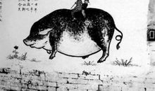 挫折我欲与你试比高