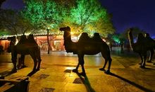 一个令我难忘的夜晚