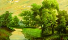 聆听自然的声音