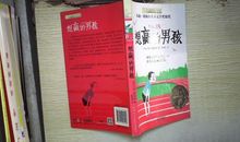 想嬴的男孩读后感