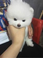 我的兄弟