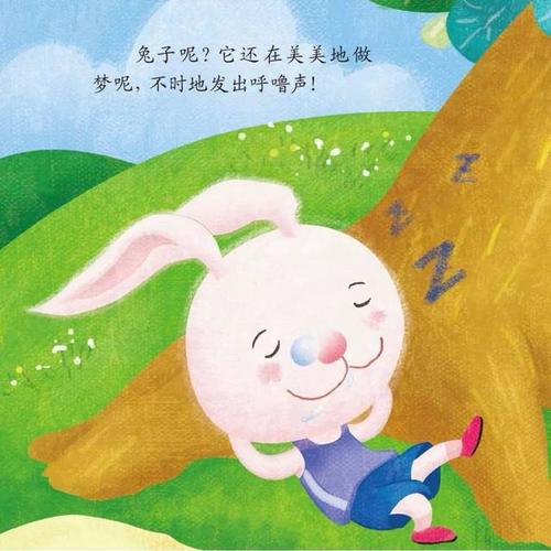 乌龟和野兔的续集