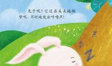 龟兔赛跑续编故事