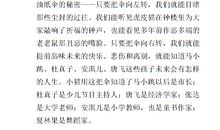 笑猫日记读后感