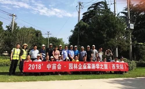 西安游学体验