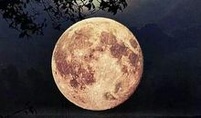 最美不过中秋月