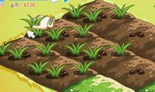 除掉心中的杂草