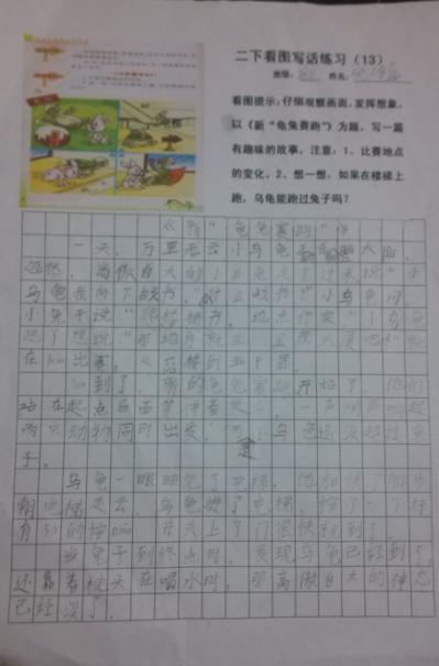 描述乌龟的成分