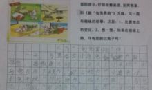 描写乌龟的作文