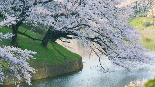 公园风景