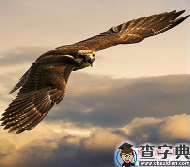 信心的力量
