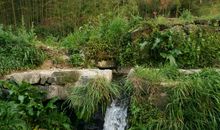 那里的风景真美