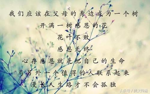 朋友让我感激