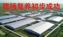 我的“棋神”同桌