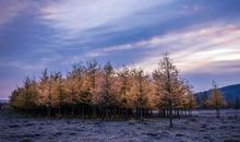 最好的风景永远在路上