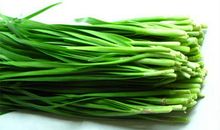 韭菜