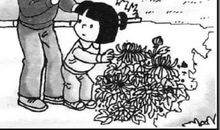 保护小鸟看图写话