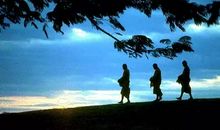 不会变的是奉献