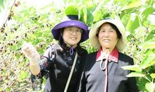 给妈妈的真情告白