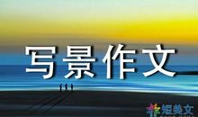 一场暴风雨作文300字