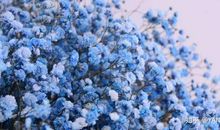 幸福，在那一刻绽放