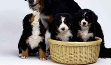 感动我的那一瞬间