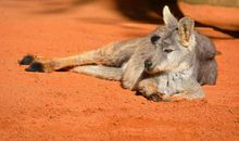 困难之后的阳光