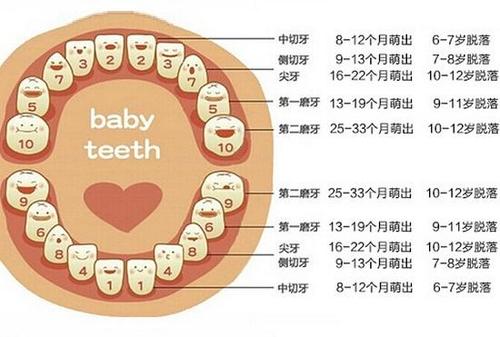 换牙