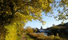 秋天的运河风光带