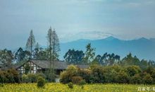 总有人在望向远方