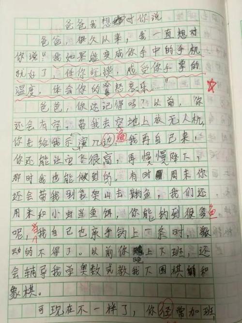 写父亲的作文