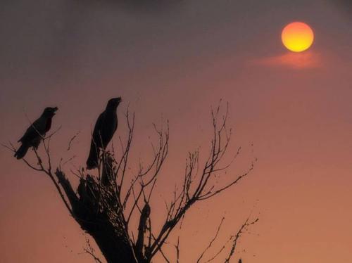 爱在成长的道路上
