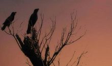 成长路上情悠悠