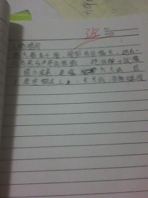班上的伟人