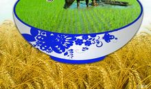 节约粮食杜绝浪费