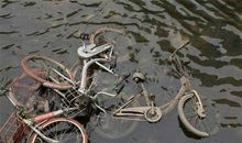 保护“新的共享”，建立“心的共享”