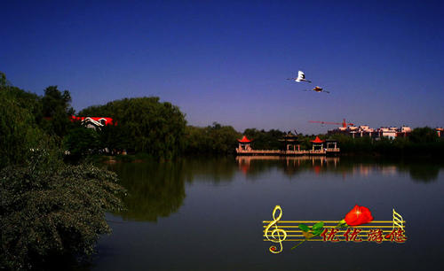 冬季小尖湿地公园