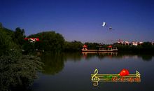 冬日的小枧湿地公园