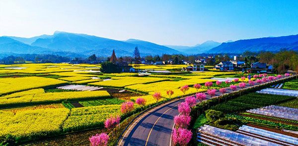 农村春天的景色