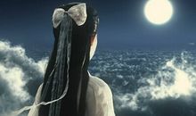 青春不因错过而悔恨