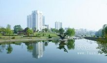 滨河公园的颜色