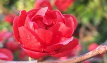 灵魂深处的平凡