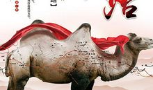 让文明带路偕理智同行