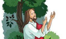 第一次理解忍耐